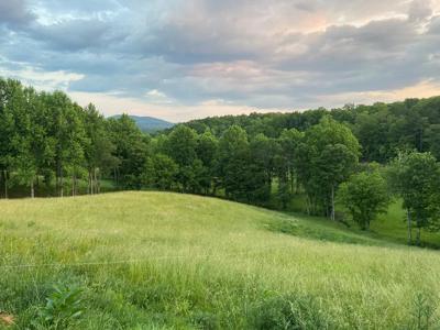 Lot 22 Lower Ridge Trail