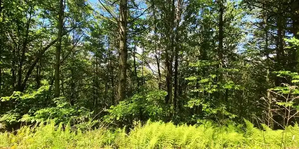 Lot 97 Choctaw Ridge Trail