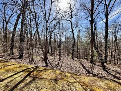 LT 129 Harris Creek Drive