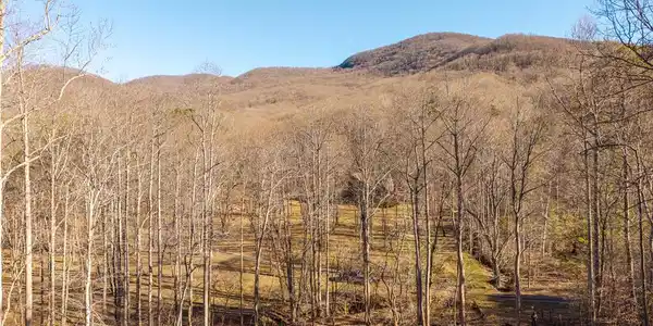 22A Bear Creek Estates