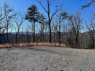 673 Willard Mountain Road