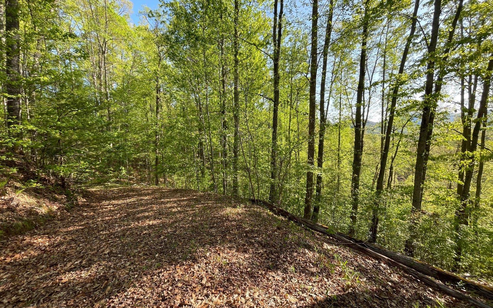 Image 2: Additional View