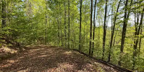 Image 2: Additional View