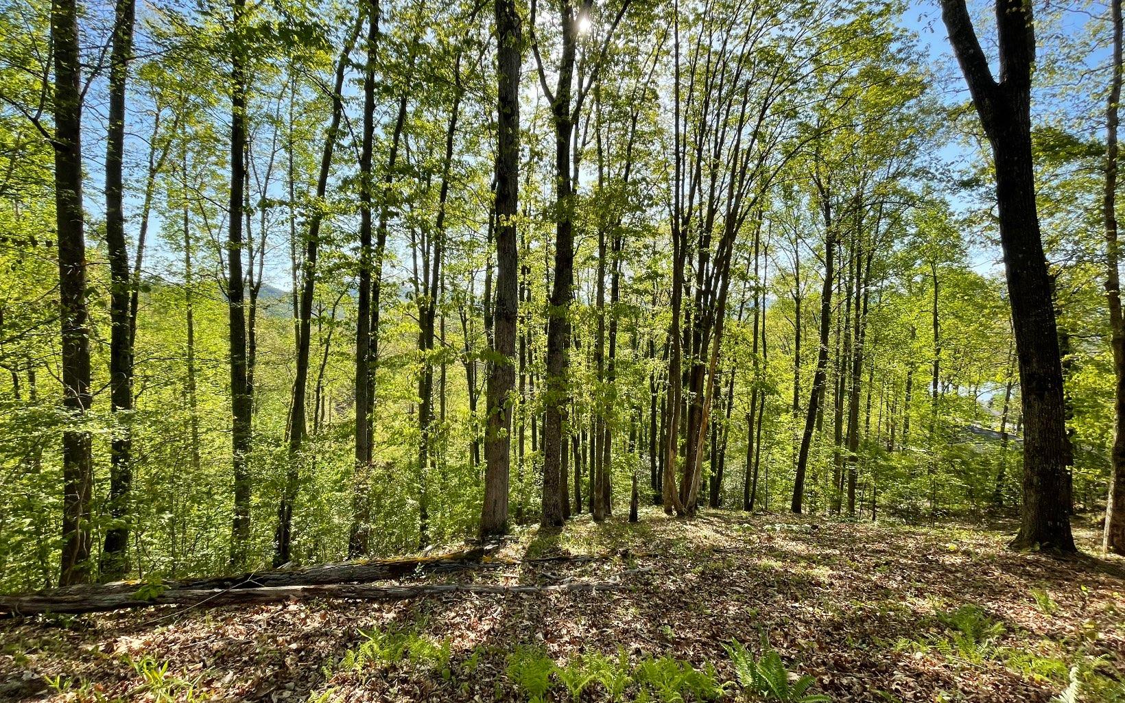Image 3: Additional View