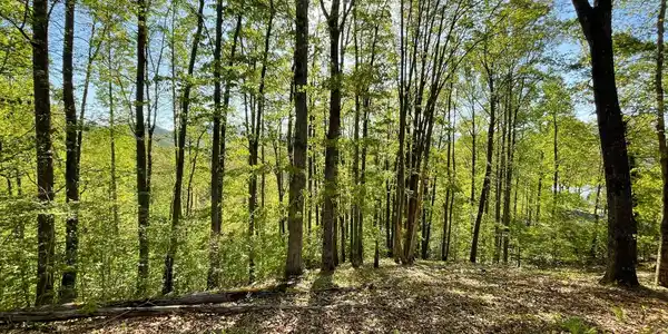 Image 3: Additional View