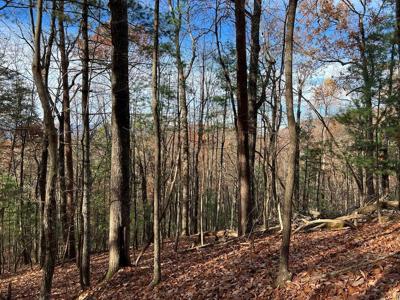 J-214 Walnut Mountain Road