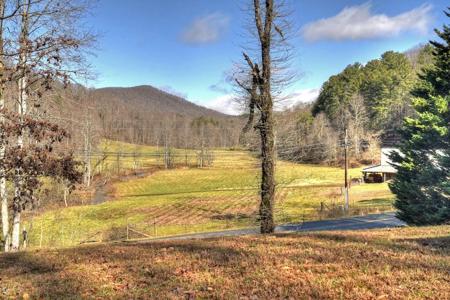 10266 Boardtown Road