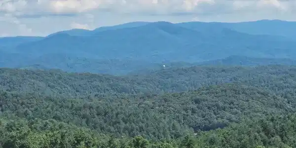 31 Acres Upper Bear Paw Road