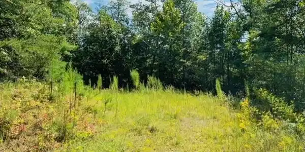 Lot 12 Hidden Lane