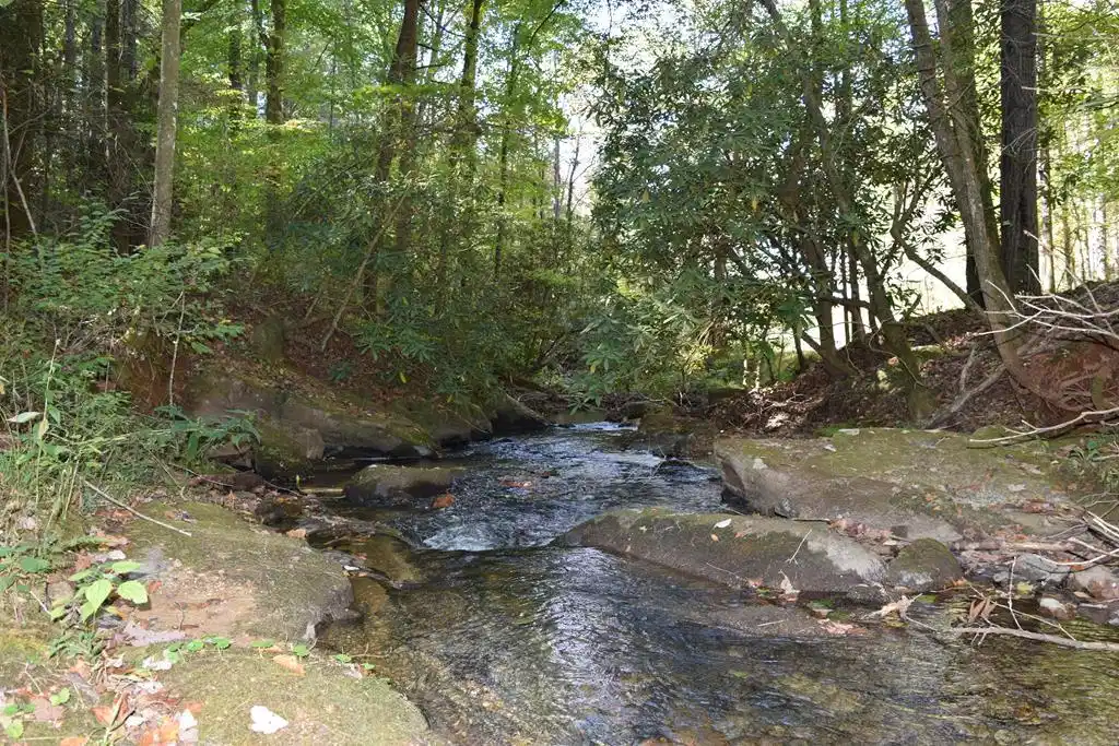 Image 1: Main View
