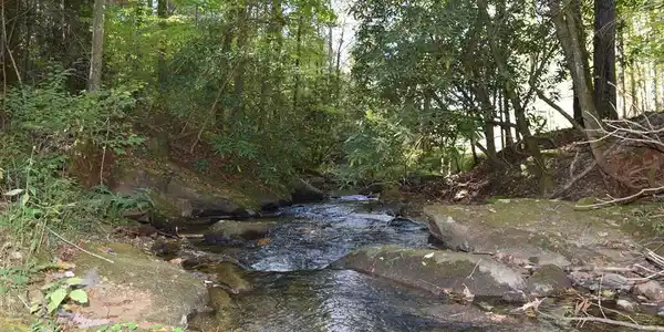 32.98 Ac Zion Hill Road