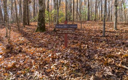 Lot 7 Joseph Anderson Trail