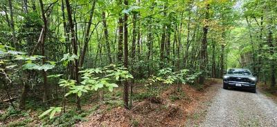 Lot 36A Old Mill Pond Road