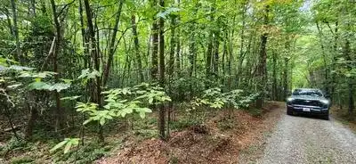 Lot 36A Old Mill Pond Road