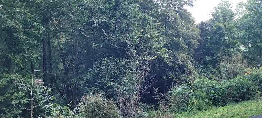 Image 1: Main View