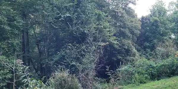 Chatuge Village Drive