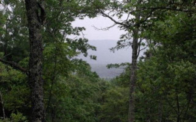 Image 1: Main View