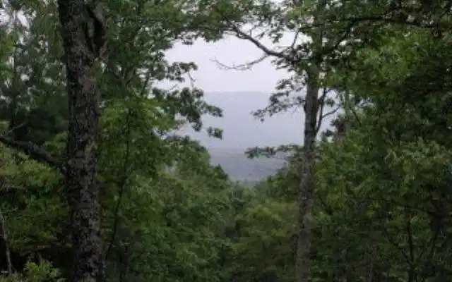 Image 1: Main View