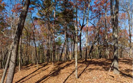 L40 Preserve Trail