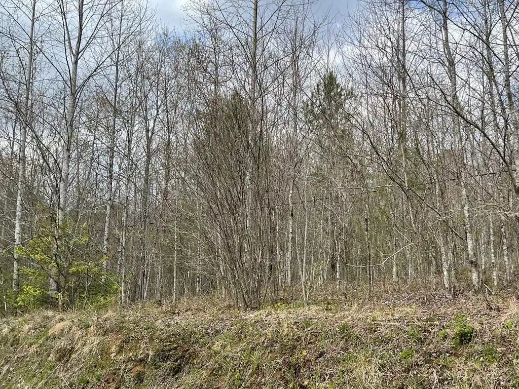Image 1: Main View