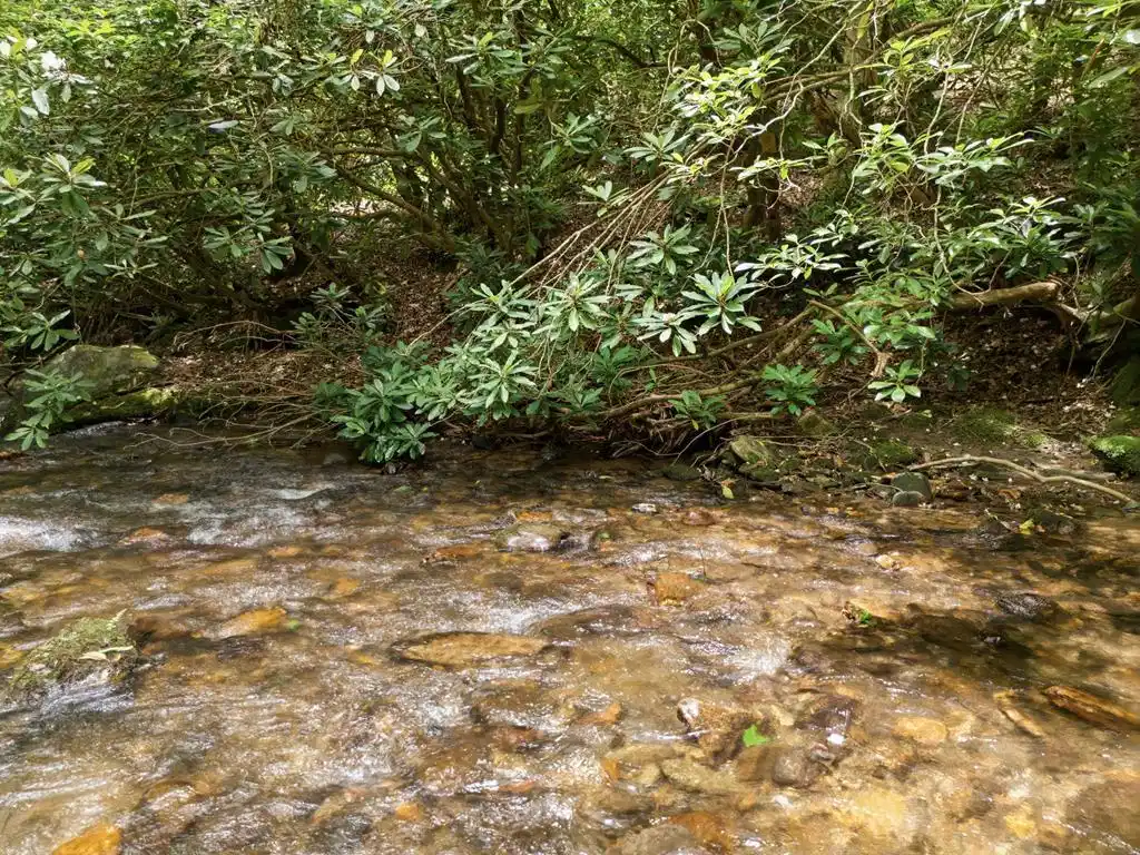 Image 1: Main View