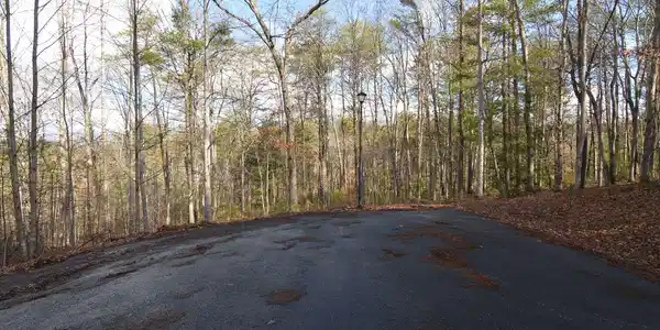 Image 4: Additional View