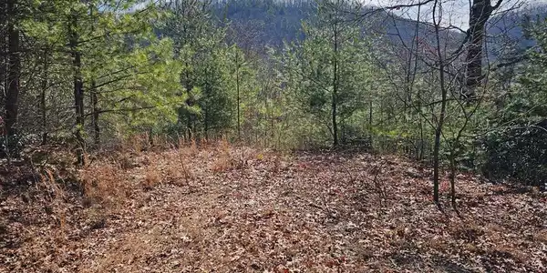 51 Kudzu Creek Trail