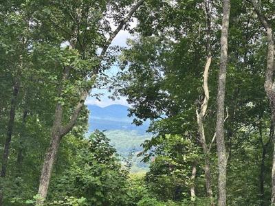 Lt 64/65 Rocky Knob Estates