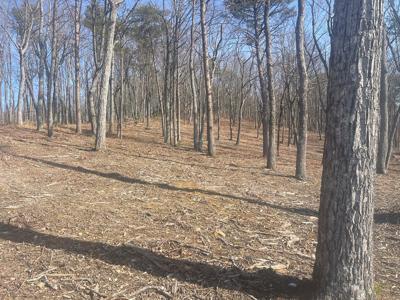 Lot 17 High Summit Drive