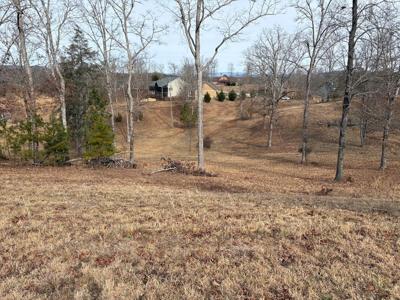 Lot 29 Hogue Way