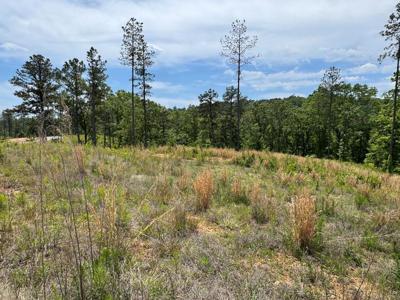 Lot 243 Spear Point Dr