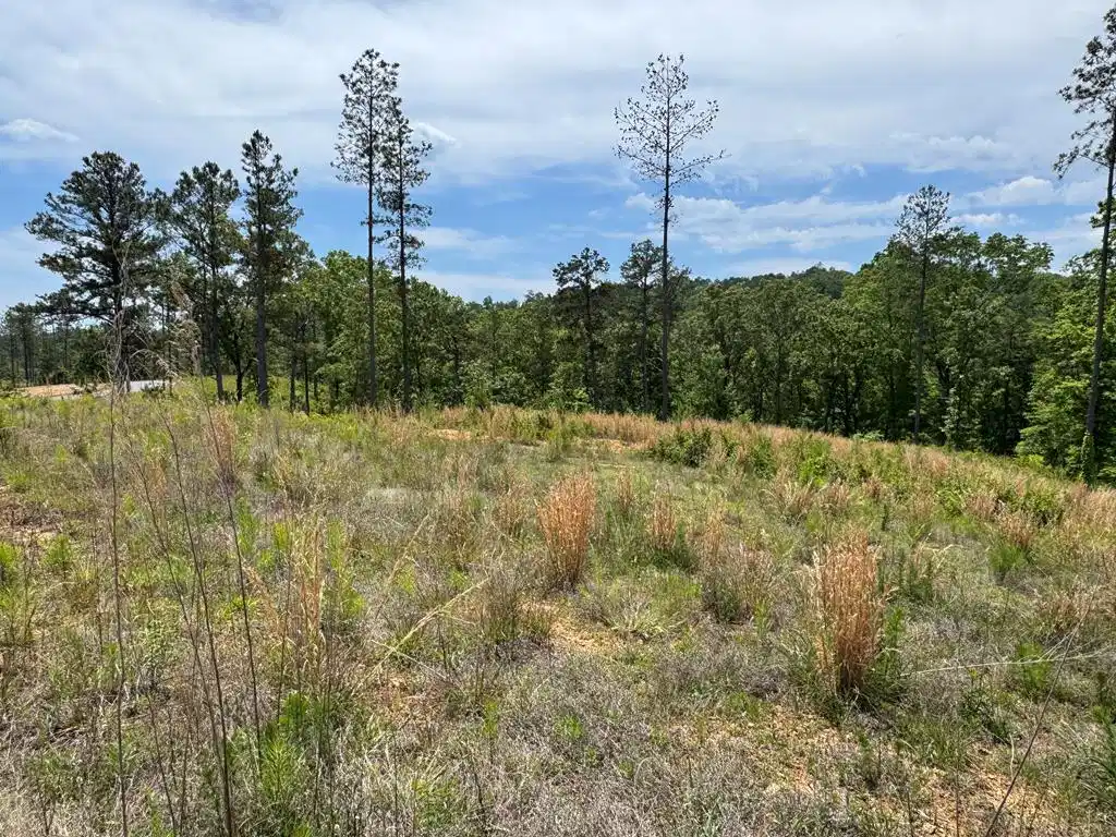Image 1: Main View
