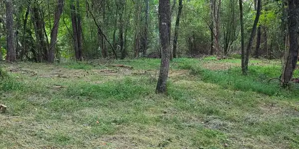 Lot 1 Thurman Street