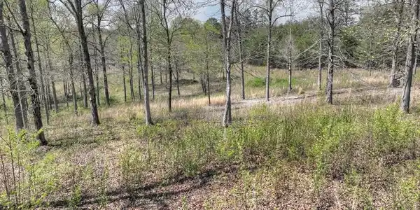 6 Arbor Creek Trail