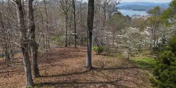 Lot 12 Chatuge Cove Drive