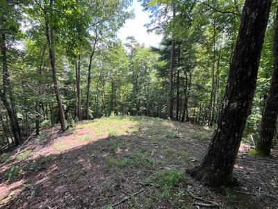 Lot 11 Laurel Mountain Road