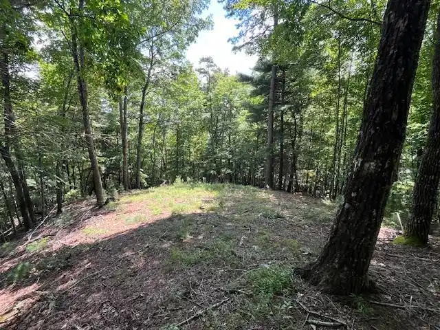 Image 1: Main View