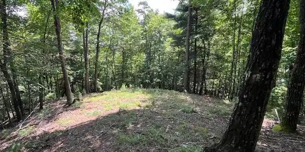 Lot 11 Laurel Mountain Road