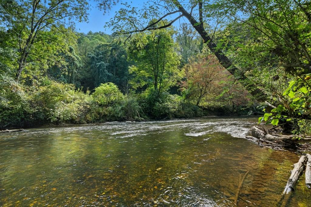 Image 3: Ellijay River Frontage