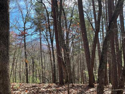 Lot 69 Tipton Springs Road