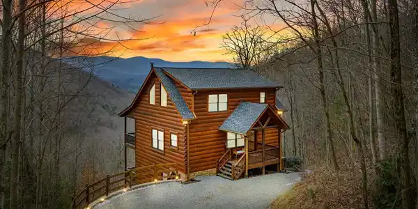 161 Cub Trail