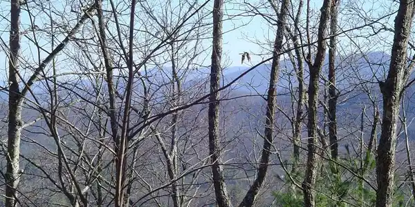 lot 18 Hidden Springs Drive