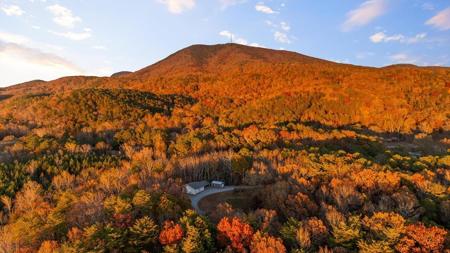 2903 S Old Federal Road