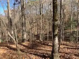 Lot 260 Catawba Circle