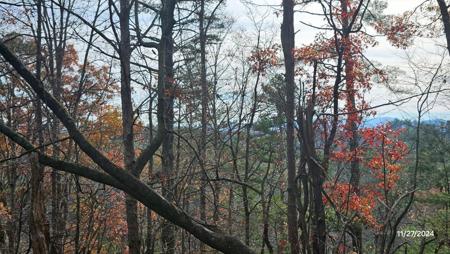 Lot 154 Rhondas Way
