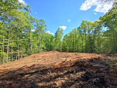 Lot 3 Megan Trace Drive
