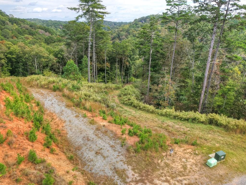 Image 2: Driveway to the property is the lower driveway and