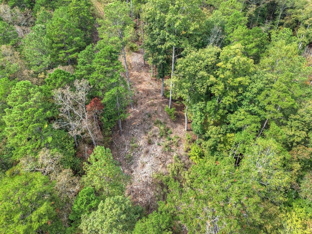 Image 4: Overhead of the cleared area for homesite