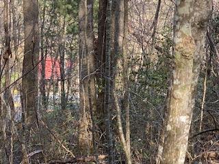 Lot 2 Hwy 129/19 S
