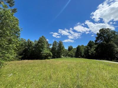 Lot 46A Licklog Ridge
